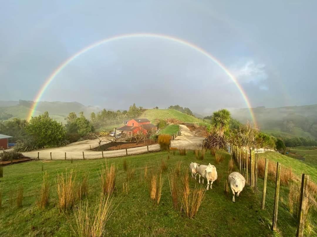 Nadarra Hideaway Bed & Breakfast Otorohanga Dış mekan fotoğraf